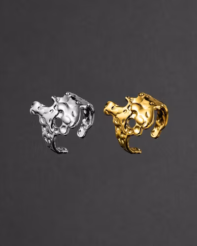 #313 - Ring