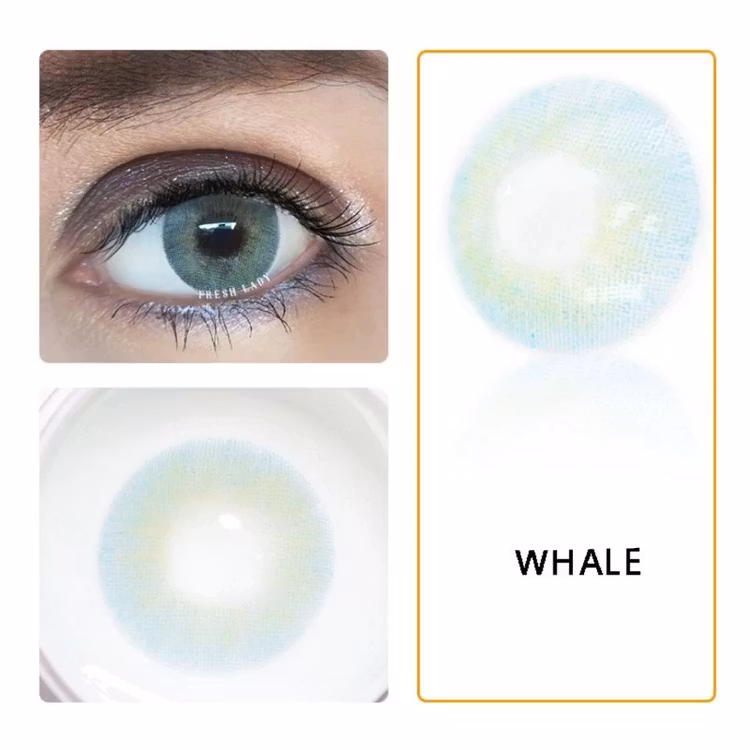 Färgadelinser (WHALE)