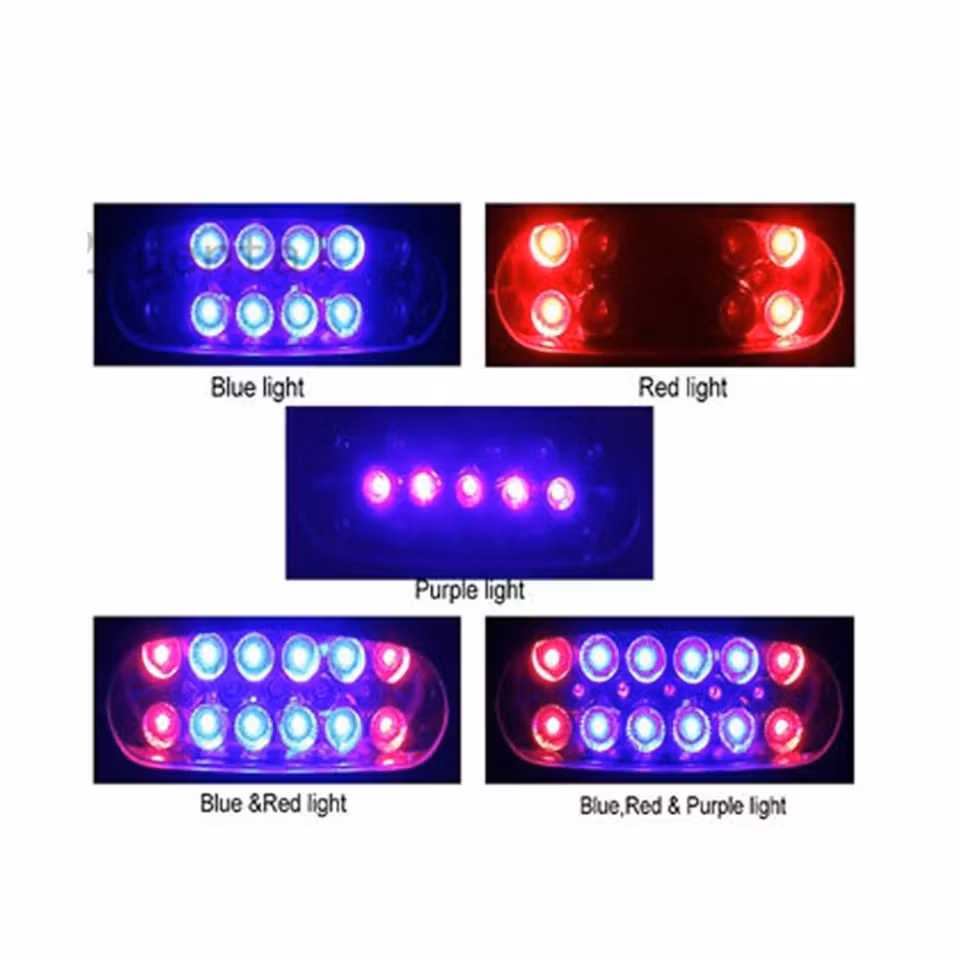 Tandblekning utbildning med Plasma LED Ljus