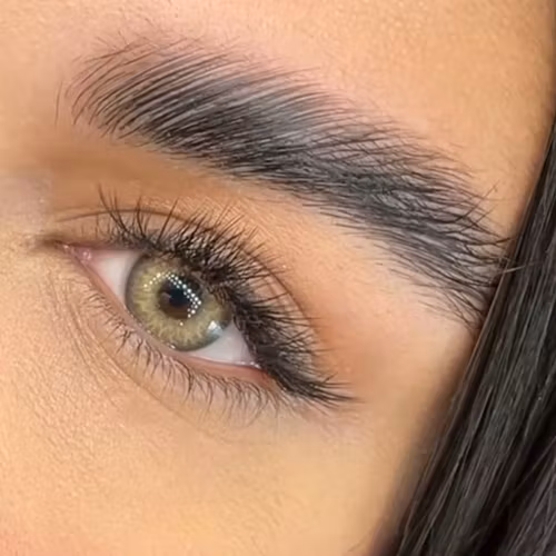 Färgadelinser (SIAM BROWN)