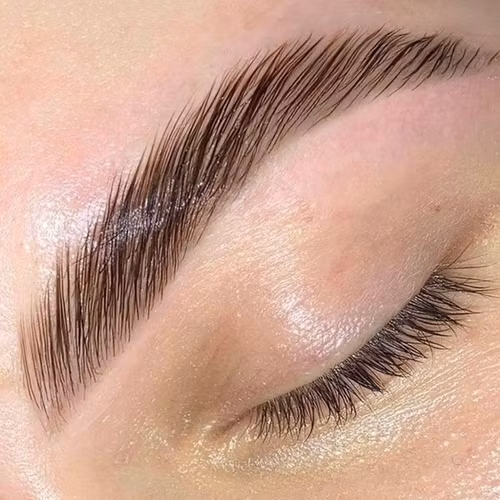 Browlift Onlinekurs