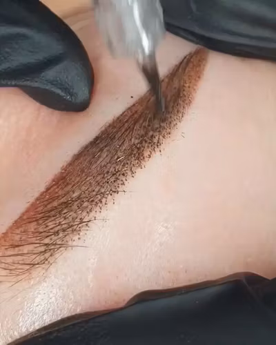 Powder Brows | Microshading