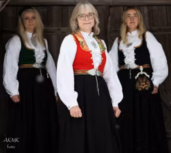 Vestfold bunad