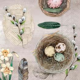 Servett Litet Fågelbo