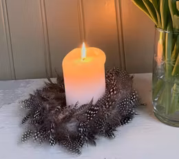 Fjäderkrans Prickig Liten