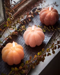 Pumpaljus Kola