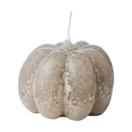 Pumpaljus Grå