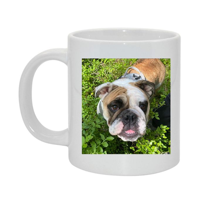 Kära hund... Alt 3 Bild & text
