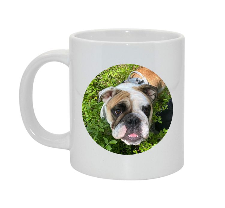 Kära hund... Alt 3 Bild & text