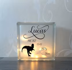 Glasblock Dino