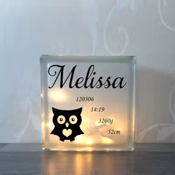 Glasblock Uggla Nr 1
