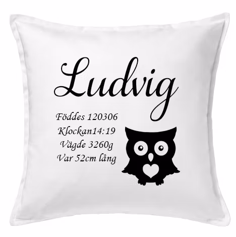 Kuddfodral Födelseinfo Uggla 3
