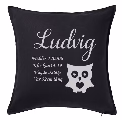 Kuddfodral Födelseinfo Uggla 3