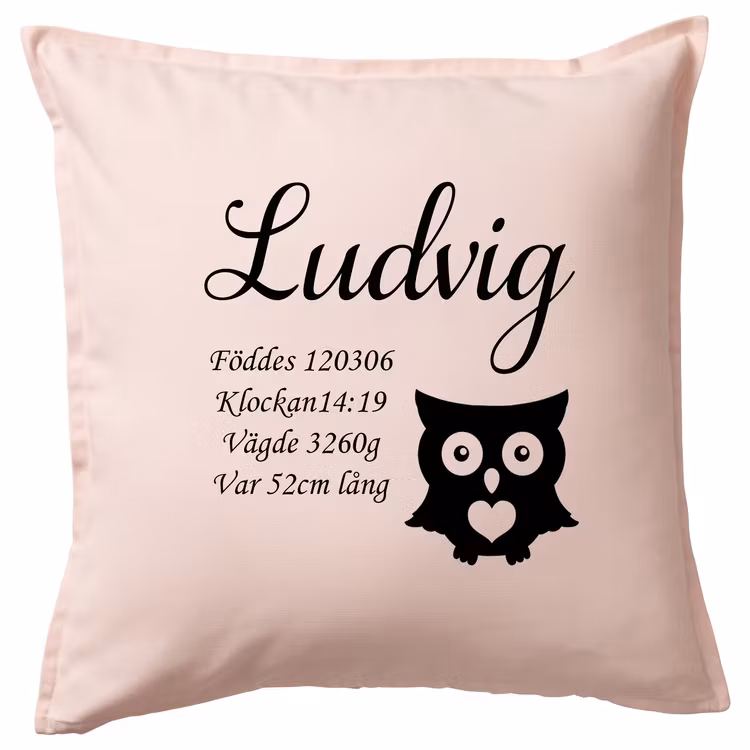 Kuddfodral Födelseinfo Uggla 3
