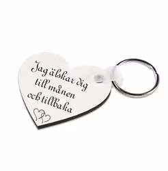Till månen
