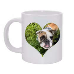 Kära hund... Alt 1Bild & text