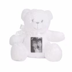 Gosedjurs Nalle med eget foto