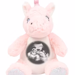 Gosedjur Enhörning med ultraljudsfoto