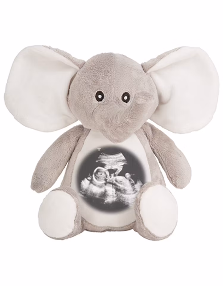 Gosedjurs Elefant med ultraljudsbild