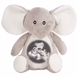 Gosedjurs Elefant med ultraljudsbild