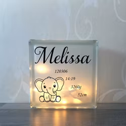 Glasblock Elefant Nr 1
