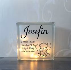 Glasblock Elefant Nr 2