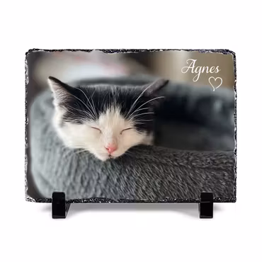 Stenplatta - Övriga #1