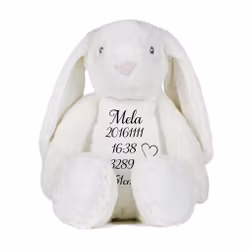 Gosedjur Stor kanin med födelseinfo #1