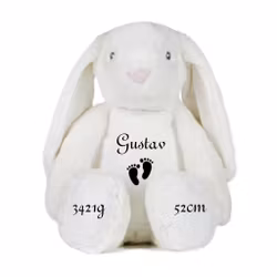 Gosedjur Stor kanin med födelseinfo #2