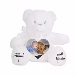 Minnes gosedjur Nalle