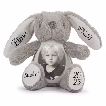 Liten kanin Kanin student