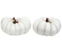 Pumpa Vit Mix 20cm