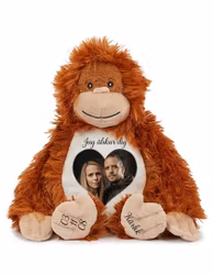 Gosedjurs Orangutang Kärlek