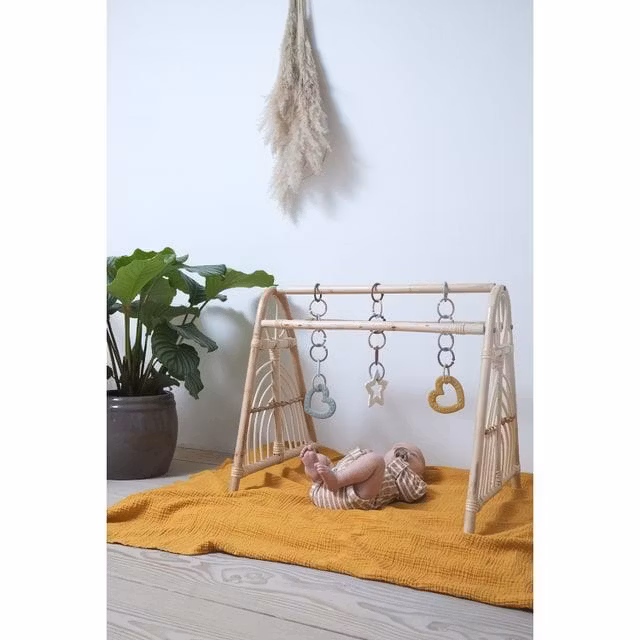 Bitring Baby Rosa Bitie Star - Bibs