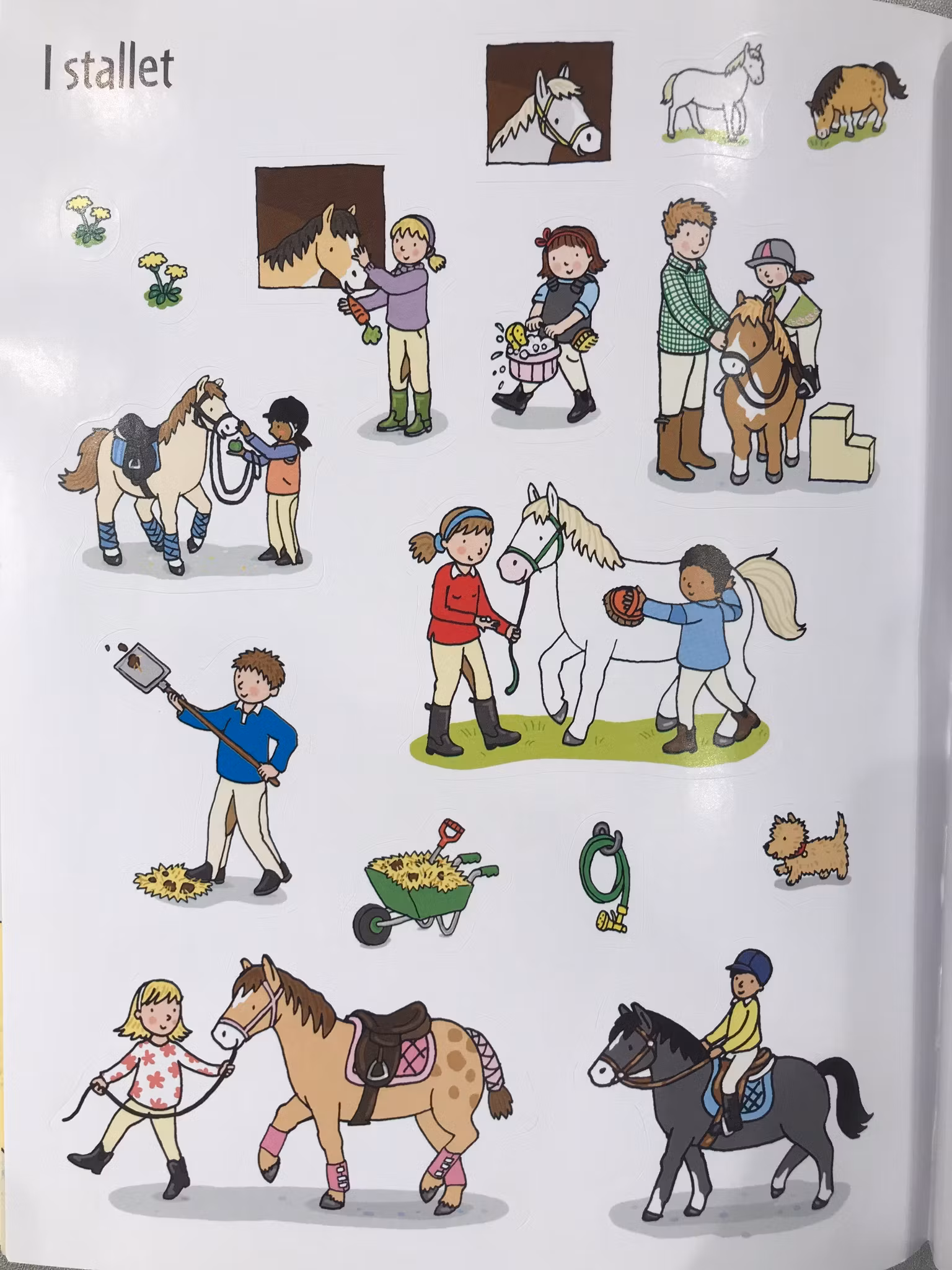 Våra husdjur - pysselbok med klistermärken - tukan