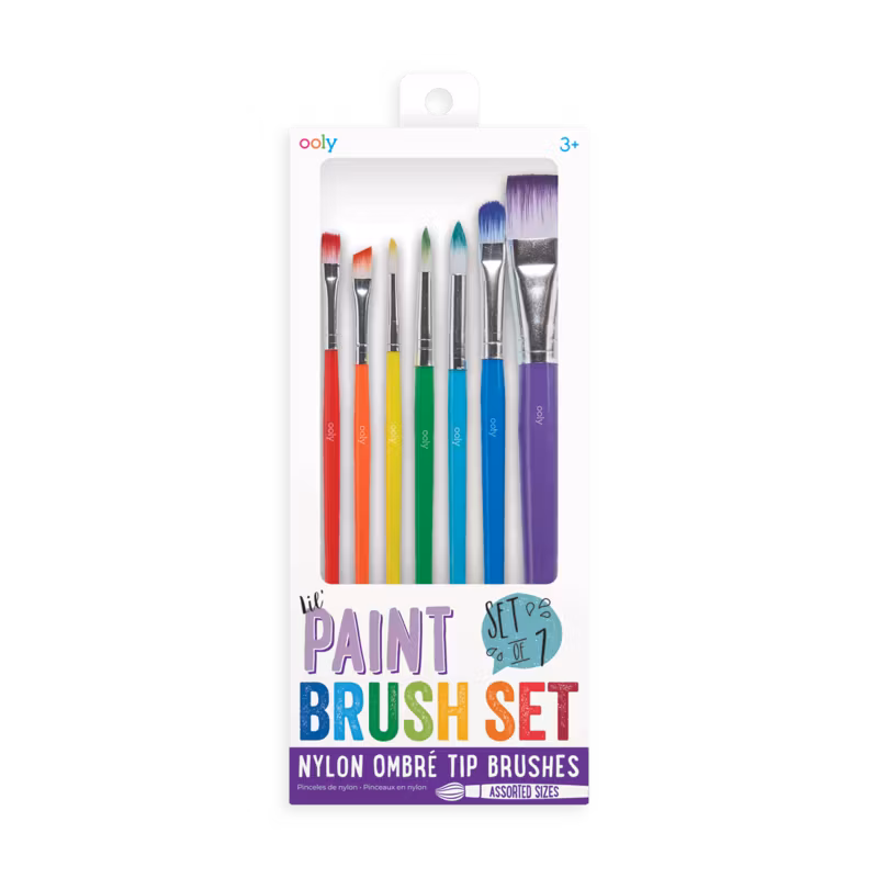 Paint Brush Set- ooly