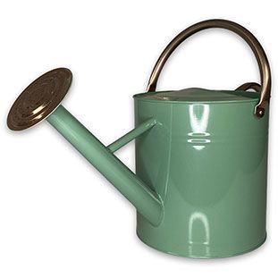 Vattenkanna grön
