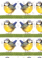 Blue Tits