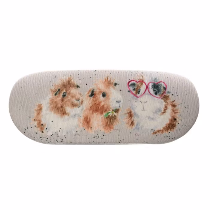 Glasses Cases `Trendsetter`