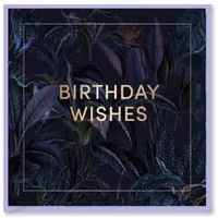 Kort `Birthday Wishes`