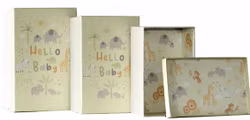 Hello Baby Gift Box