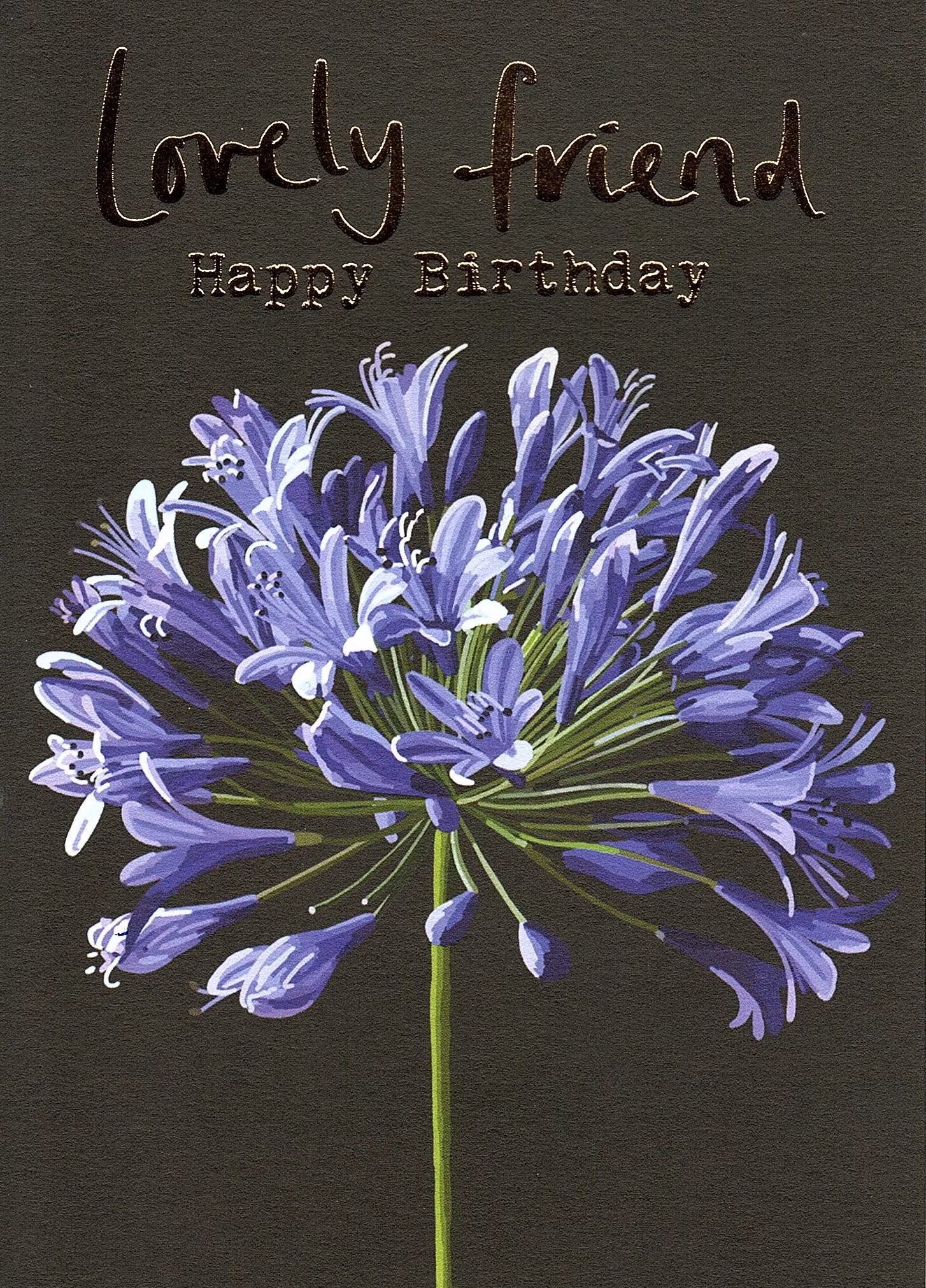 Kort Sarah Kelleher `Lovely Friends Happy Birthday`
