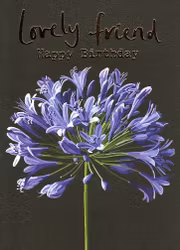 Kort Sarah Kelleher `Lovely Friends Happy Birthday`