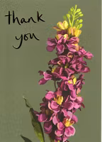 Kort Sarah Kelleher `Thank You`