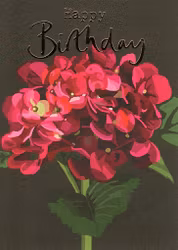 Kort Sarah Kelleher `Happy Birthday`