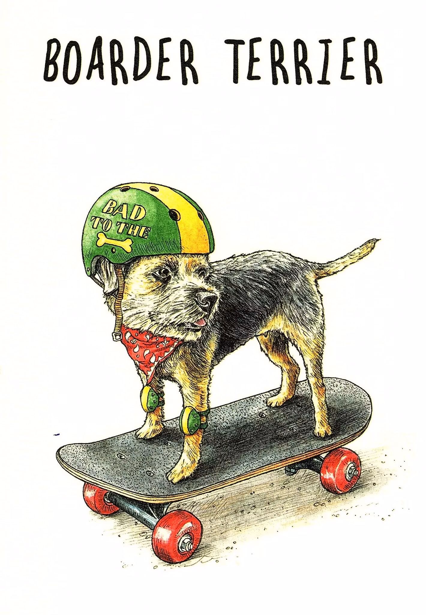 Kort Bewilderbeest `Boarder Terrier`
