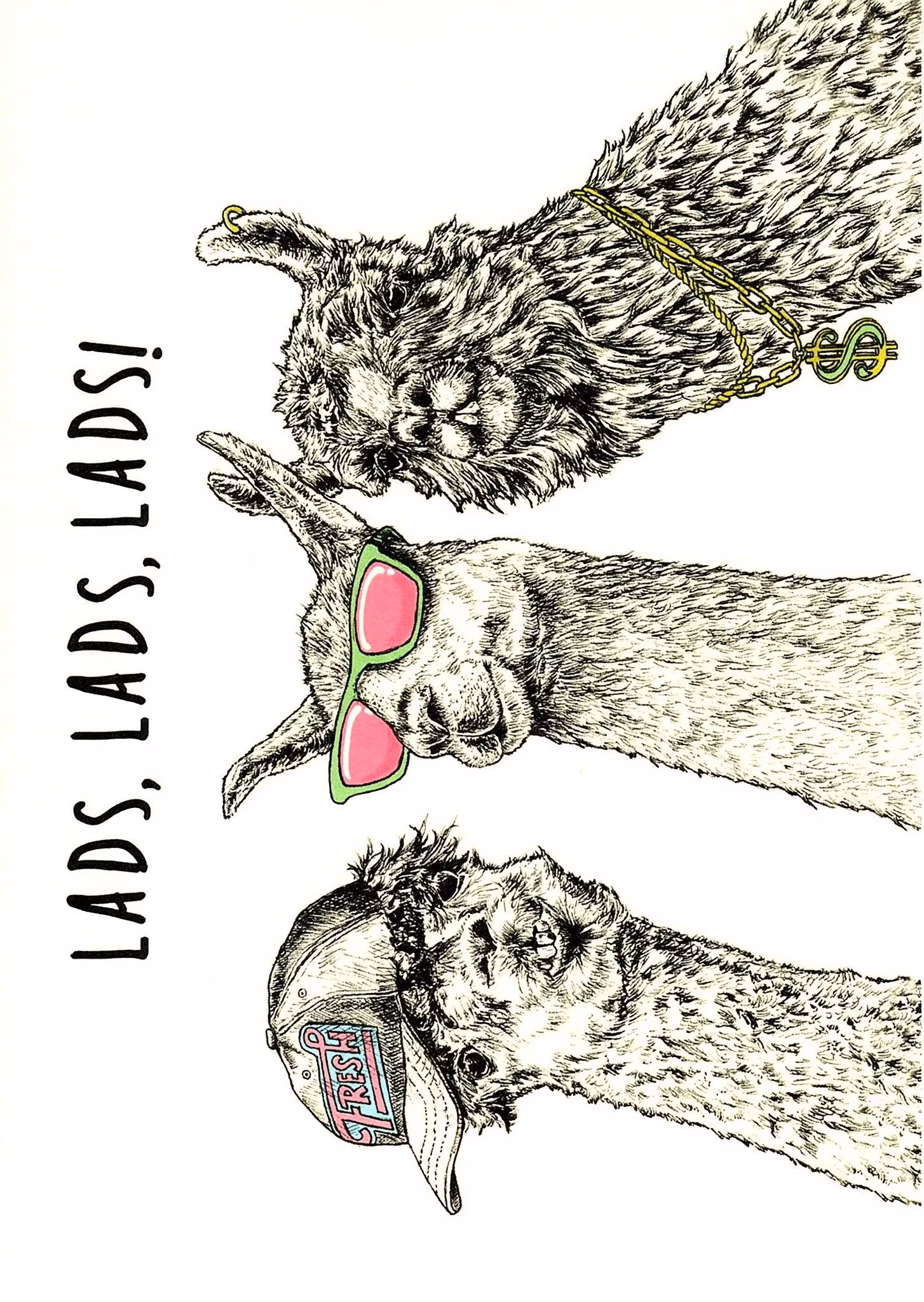 Kort Bewilderbeest `Lads, Lads, Lads`