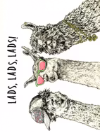 Kort Bewilderbeest `Lads, Lads, Lads`