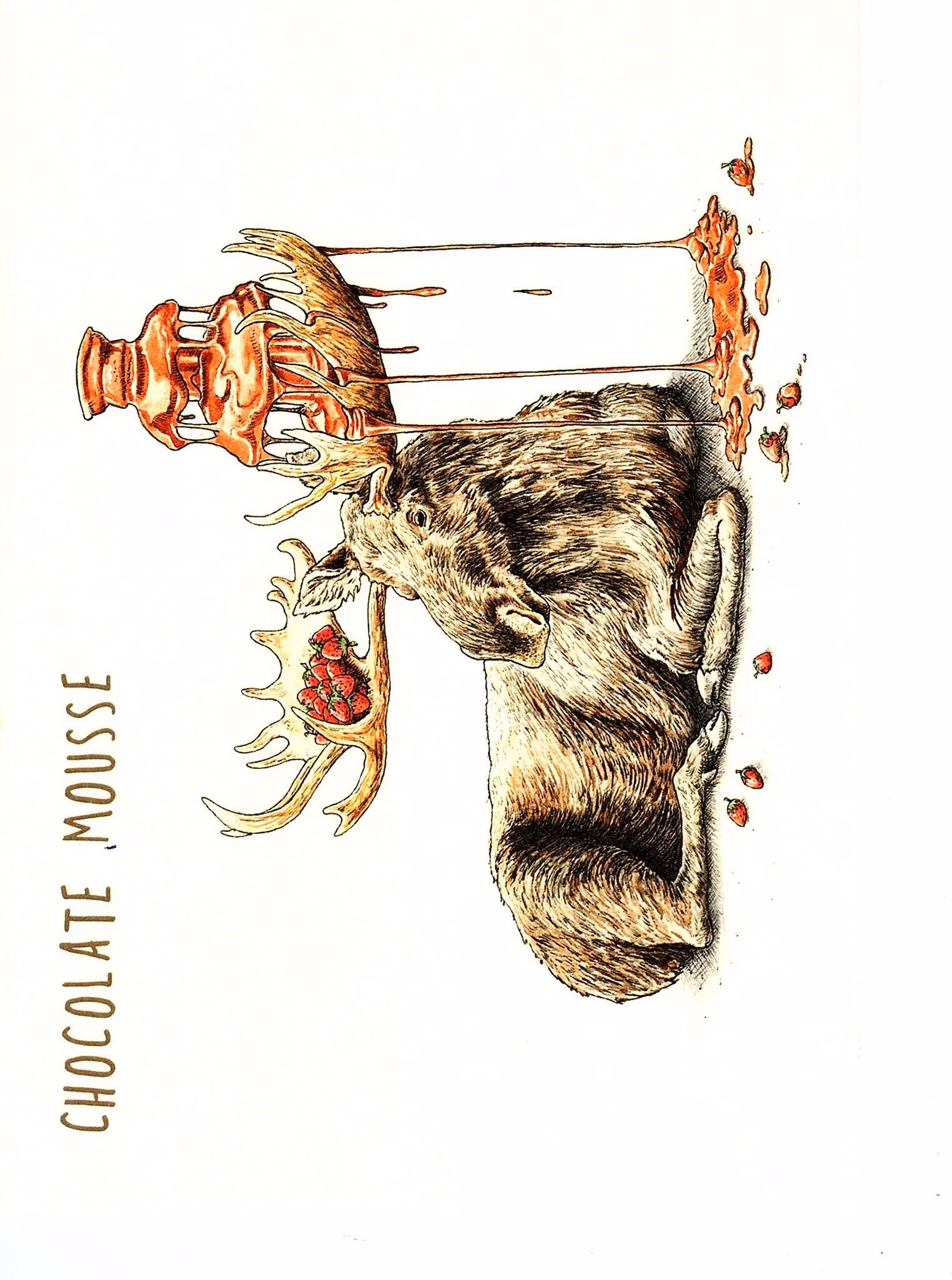 Kort Bewilderbeest `Chokolate Mousse`