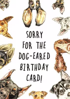 Kort Bewilderbeest `Dog Eared`